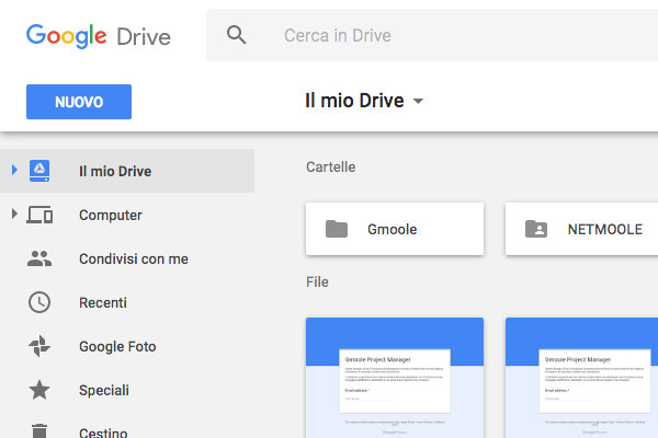 Gmoole Project Manager - Integrazione Google Drive